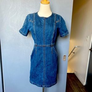 Rachel Zoe Fitted Denim Dress